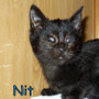 115-2013 Nit
