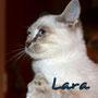 101-2013 Lara 