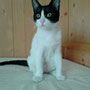 114-2013 Anita