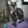99-2013 Buddy