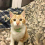 14-2013 Benji