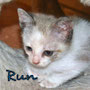 13-RUNA