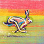 Run VIII/ 2025/ oil on canvas/ 20 x 25cm