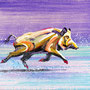 Run VII/ 2025/ oil on canvas/ 20 x 25cm