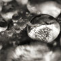 50 Drops of grey