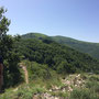 panorama dalla cresta faticosamente raggiunta