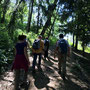 Salendo nel bosco