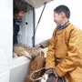 Mongolie
