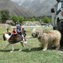Tadjikistan
