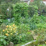 Visite de jardin