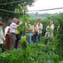 Visite de jardin