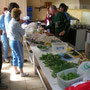 Cueillette et cuisine