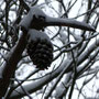 Hiver 2012 (37).