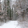 Hiver 2012 (37).