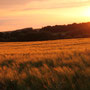 Touraine.