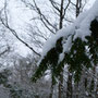 Hiver 2012 (37).