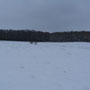 Hiver 2012 (37).