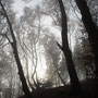 13. November (canon)