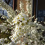 21. April 2012 (Lumix)