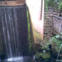 Wassermühle zu Bentrup