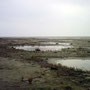 Auf Schiermonnikoog, Studienfahrt 2006