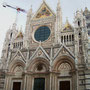 Siena