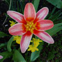Ostern 2010