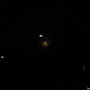 Der Mond hinter Bäumen - März 2011