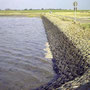 Auf Schiermonnikoog, Studienfahrt 2006