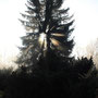 13. November (canon)