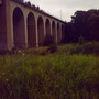 August 2007