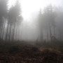 13. November (canon)