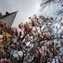 24. April 2013 (lumix) Apostelkirche Gütersloh