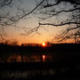 31. Januar 2012 (Lumix)