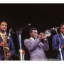 1985 #4 +Wallace Roney, Jean Touissant