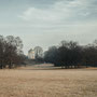04/53 Monopteros im Englischen Garten