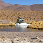 Am Altiplano in der Nähe der Laguna Canapa - es soll noch tiefer werden...
