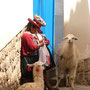 Zwei Indigenas mit ihren Lamas - in Cusco