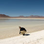 Laguna Blanca - Bolivien