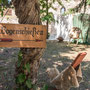Bogenschießen zum Mittelalterfest