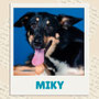 Miky