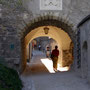 Hohenwerfen