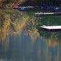 Morgen am See
