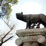 Romulus und Remus mit der Wölfin auf dem Kapitolsplatz, ...