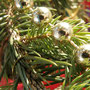 Weihnachtsbaum