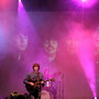 All You Need Is Love