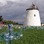 die Windmühle, das Wahrzeichen von Retz - die Flügel sind dzt. zur Reparatur in Holland