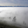 Herbstnebel - 21 Punkte, 3. Platz