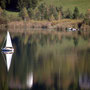 Herbst, der Maler