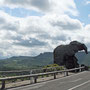 Rocher de l'éléphant : roche en trachyte avec cavités aménagées en tombeaux